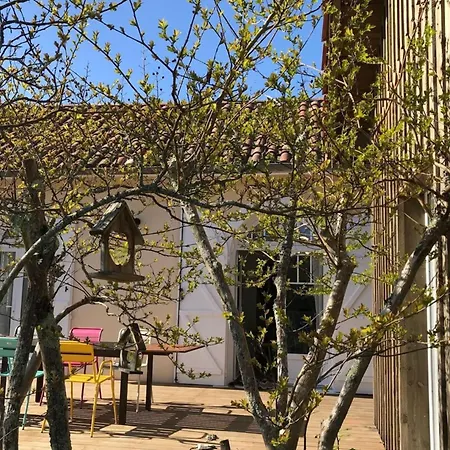 Feriehus Caprice A Avec Piscine Chauffee Andernos-les-Bains